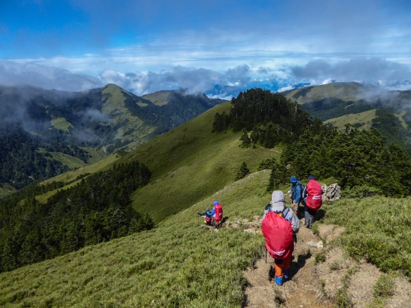 【登山】合歡北峰縱走 高山體驗伴遊 