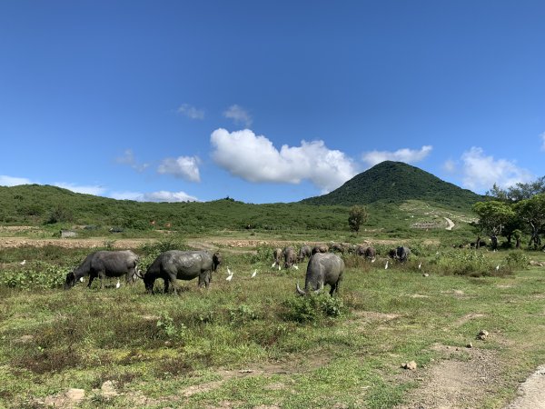 20251006屏東老佛山-老佛山西峰2907872