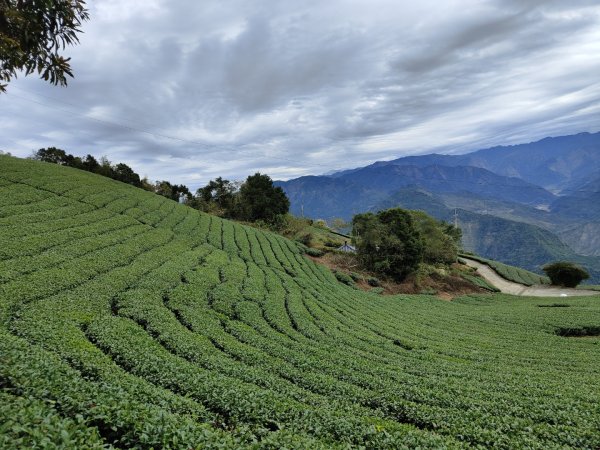 2023.12.30 雲嘉大尖山2840426
