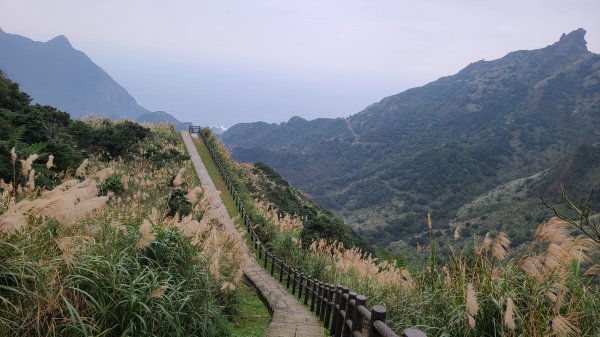 2021-1230 百二崁、燦光寮、貂山古道、地質公園步道O型1565517