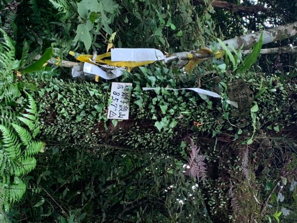 獅仔頭山/小百岳1453977