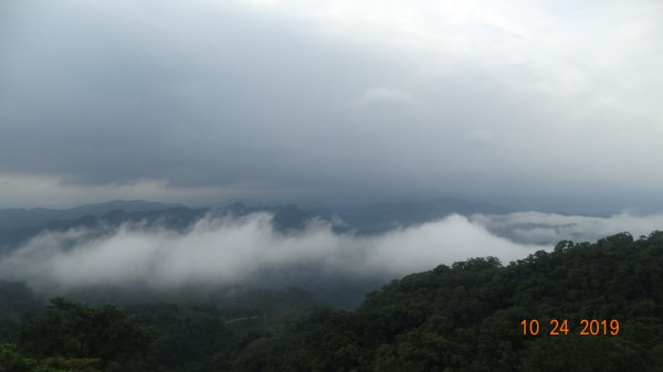 朝陽步道&粉鳥林&石碇雲海712087