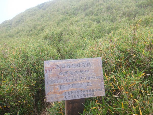 2018.10.20合歡東峰之旅1412415