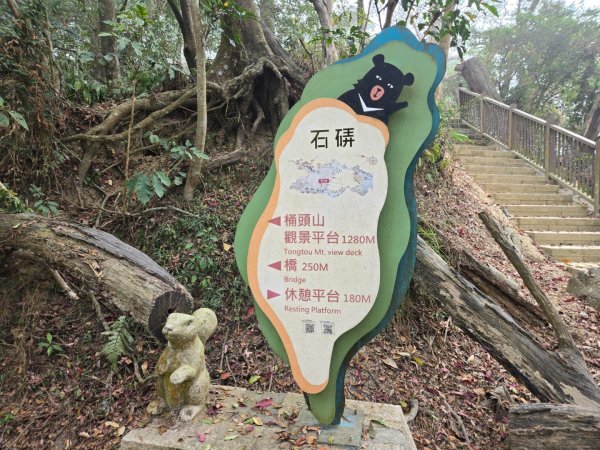 石硦林場（桶頭山）2991258