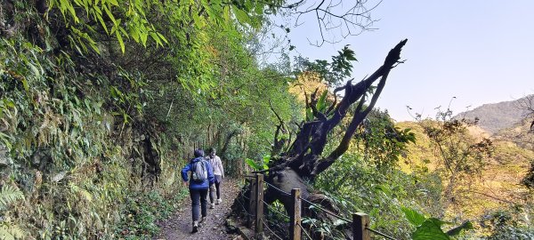 2026/02/21-馬胎古道（含二期）3005111