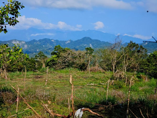 八里灣山-小百岳#91-花蓮縣豐濱鄉3019222