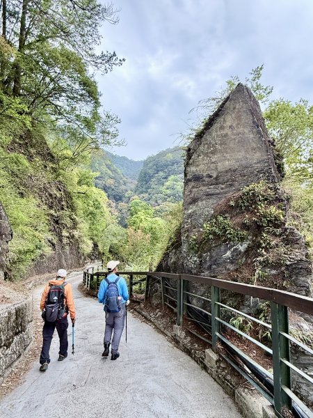 奧萬大登合流點山順撿楓樹林山.獅子頭    2025.3.112734130