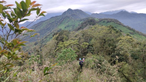 笠頂山單攻西大武山(西北峰) 九星連珠搏命演出歷險記 2025年3月20日2739000