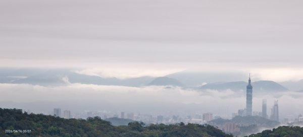 #陽明山 #琉璃光 #紅斑蛇 #新店四十份 #雲瀑 #翡翠水庫壩頂 #日出 #雲海 4/16&183037632