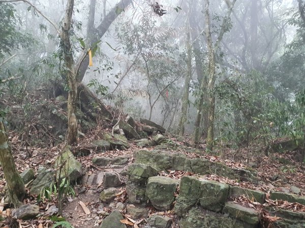 白雲山步道（小百岳）1334326