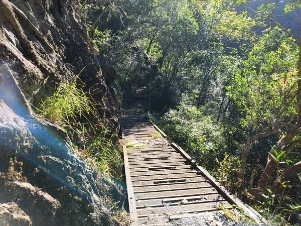 [玉山尋寶任務-07/12] 2025_0824 八通關雲龍瀑布步道2870624