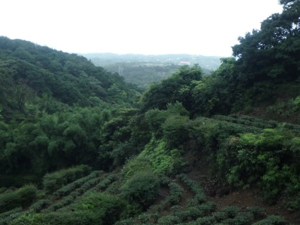 1070614茶山步道3099467