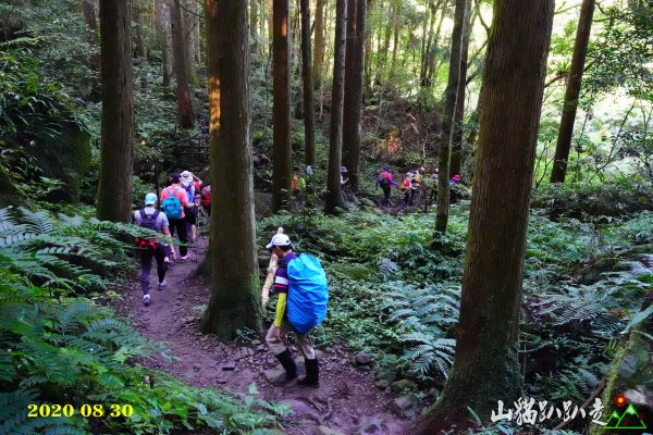 加里山~山貓趴趴走1084687