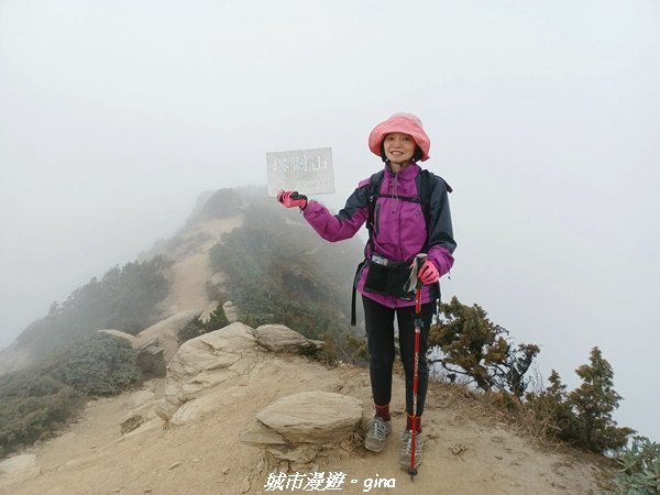 【高雄桃源】朝聖壯闊山景之南橫三星。 編號72百岳~塔關山登山步道2096645