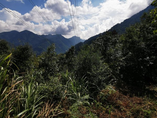 德芙蘭生態步道-綠蔭遮陽，涼風徐徐避暑道1049634