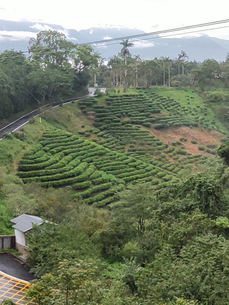 貓囒山步道2850519