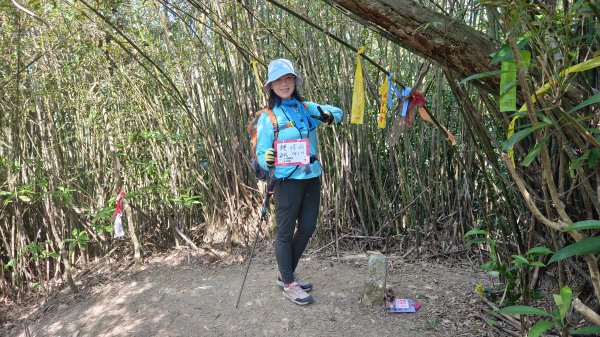 (姨婆趴趴走)第四十九集:攀登連走宜蘭梗枋山、橋板湖山2747720