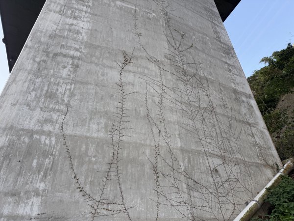 [淡蘭古道] 2026_0315 南路第二段_外按古道3016389