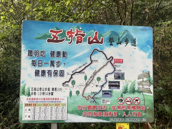 [森遊竹縣-09C/10] 2023_1112 五指山登山步道2347119