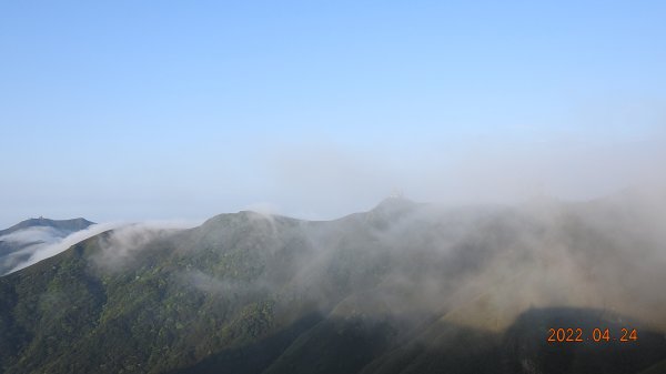 4/24陽明山再見雲瀑&觀音圈-雲山水花鳥蝶-天龍國阿伯的日常-首拍守城滿山紅&端紅蝶交尾1686974