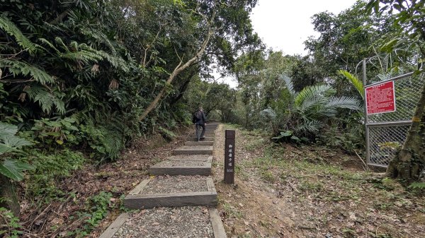 114.12.20劉銘傳隧道-獅球嶺北峰-獅球嶺東砲台山-獅球嶺池-獅球嶺砲台山之旅2966706