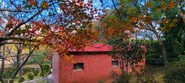 #花卉試驗中心 #永公路500巷 #平菁街42巷 #原住民公園 #士林官邸 1/42980400