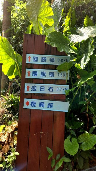 三峽鳶山，鳶山彩壁，中和國旗嶺，國勝嶺，國強嶺，中壢壢景町，壢小故事森林，中平路故事館1765694