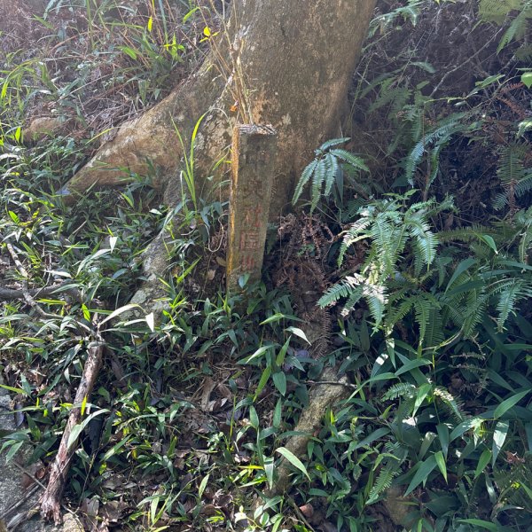 大崙頭山、大崙尾山2922655