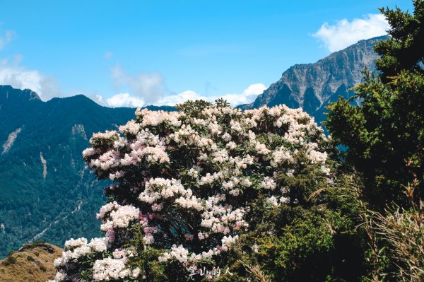 花季限定的景色3063164