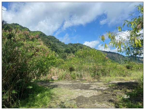 大安溪峽谷 (苗栗、卓蘭)2810031
