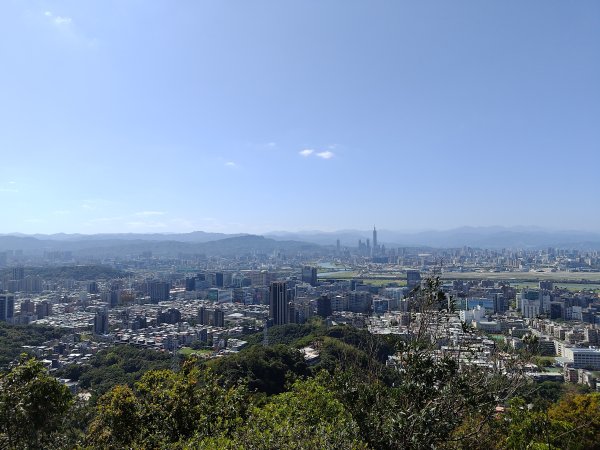 20260315金面山3015570