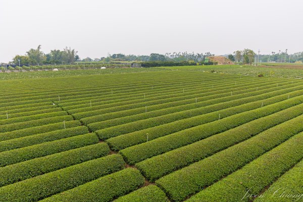 [南投]松柏坑山2683283