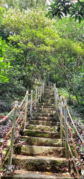 2024-06-15觀音山【福隆山、尖山(占山)登山步道】O走2528230