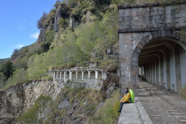 阿里山眠月線20211229-301618035