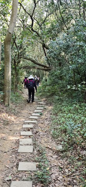 2026-0412 奇岩山_唭哩岸山_丹鳳山_軍艦岩3034883