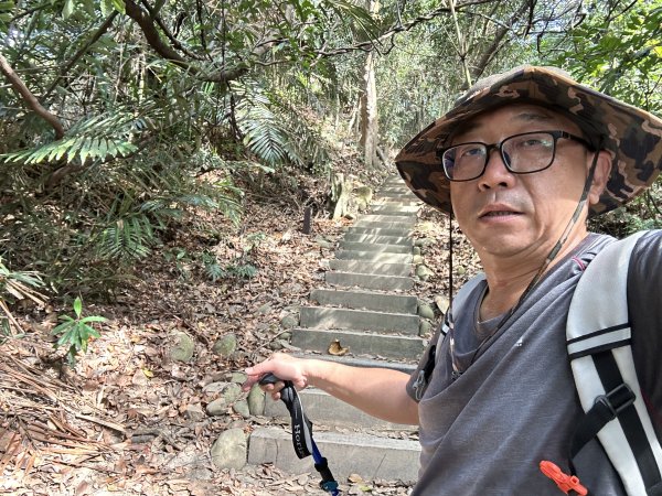 龍過脈森林步道2969783