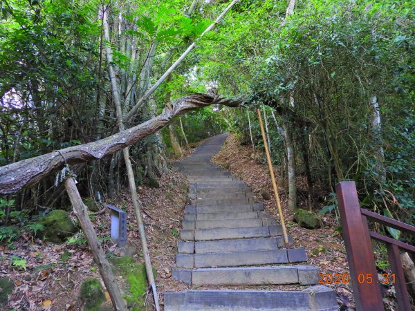 新竹 峨嵋 猿山980445