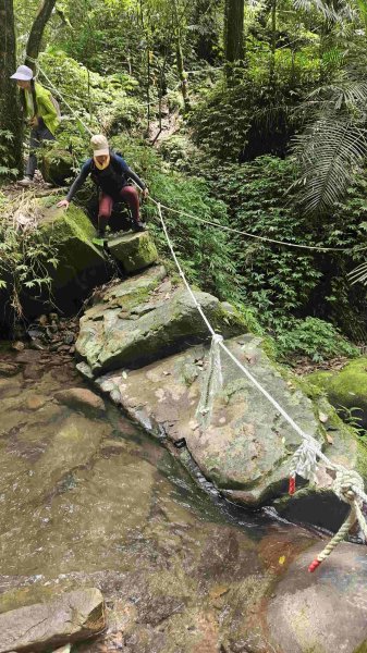 20250601梅竹蹊山-480峰-苕谷坑山2803383