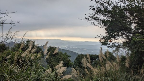 桃園石門山步道1994632
