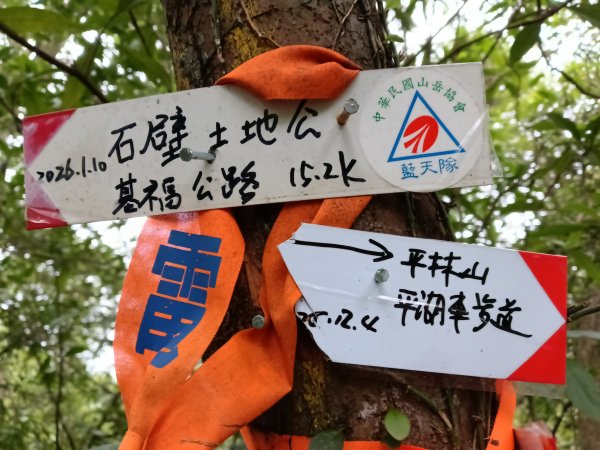 雙溪區石壁坑橋+平林山+武山煤礦土地公+上林山稜線+彎穹越嶺古道+石壁坑橋O型2991292