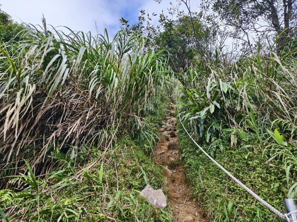 [百山百鳥尋旅-11/15] 2025_0927 大屯主峰-連峰步道_大屯山西峰2899460