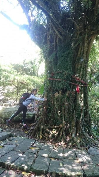 福隆．遠望坑．草嶺古道．桃源谷．大溪49588