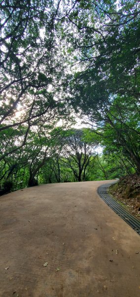 2023-01-08情人湖環山步道、老鷹岩1986770