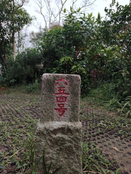 2023.12.08 南勢角山2695831