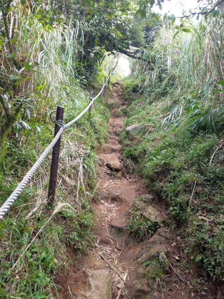 《百大必訪步道》大屯群峰步道(大屯主、南、西峰連走)1474518