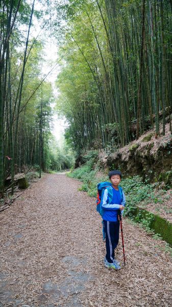 大凍山-二延平步道114651