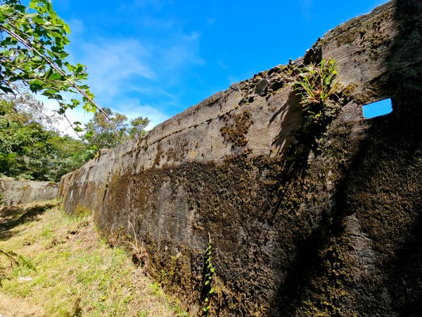 李崠山步道-2025森遊竹縣皮皮獅探險隊2892616