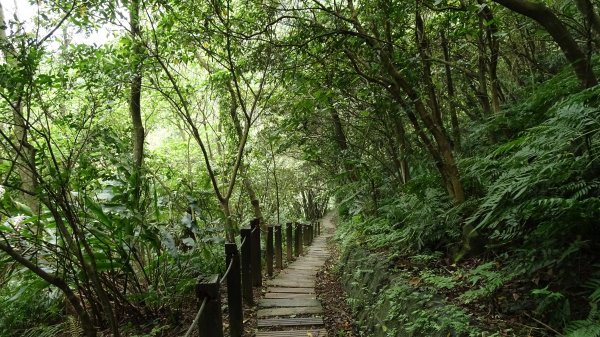 紫微環山步道2100176