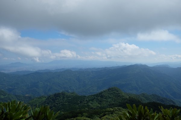 桃園復興區  東卡O縱2823819
