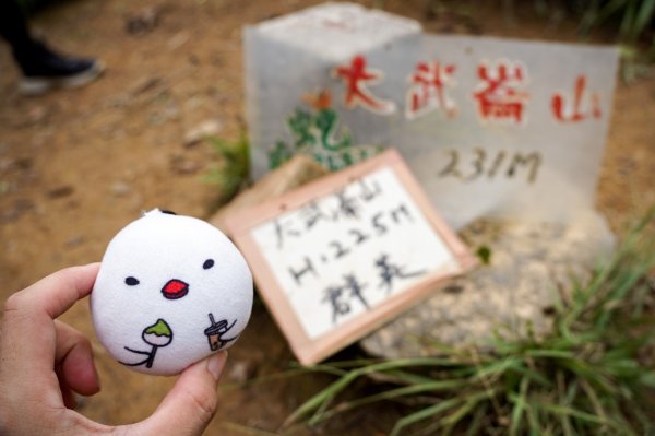 大武崙山｜小百岳2835058